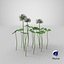 blooming clover field meadow 3D model