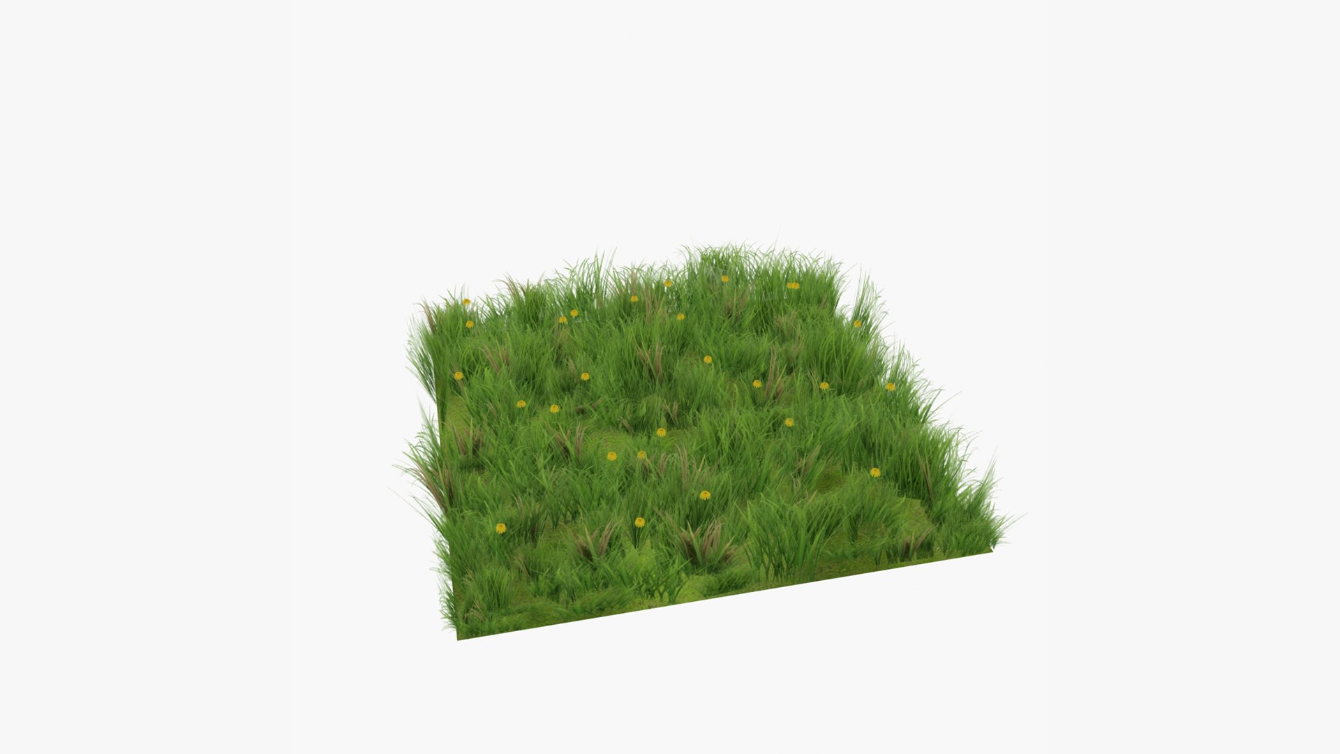 Grass With Dandelions Lowpoly Game Ready Model - TurboSquid 1938265