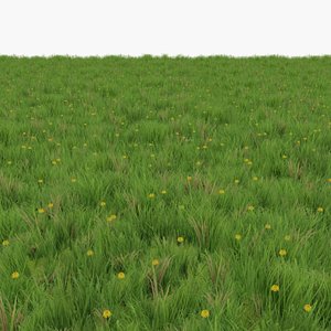 Grass with dandelions Lowpoly Game Ready model