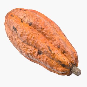 Cocoa Fruit 3D Model