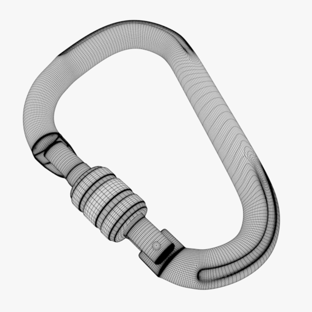3D Carabiner Latch TurboSquid 1273256