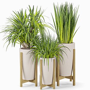 3D indoor Plant Set 03