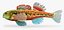 Collezione Darter Fish 1
