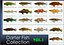 Collezione Darter Fish 1