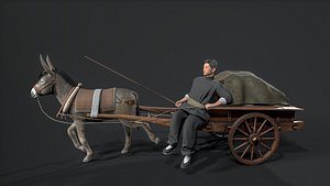 Rustic Donkey-Pulled Cart