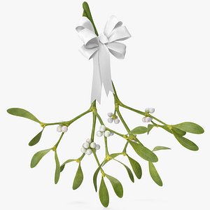 Mistletoe with White Bow 3D
