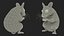 3D model Mesocricetus Auratus Black