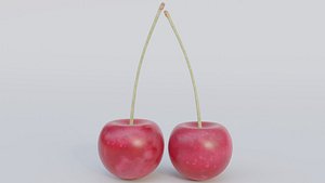 Cherry 3D model