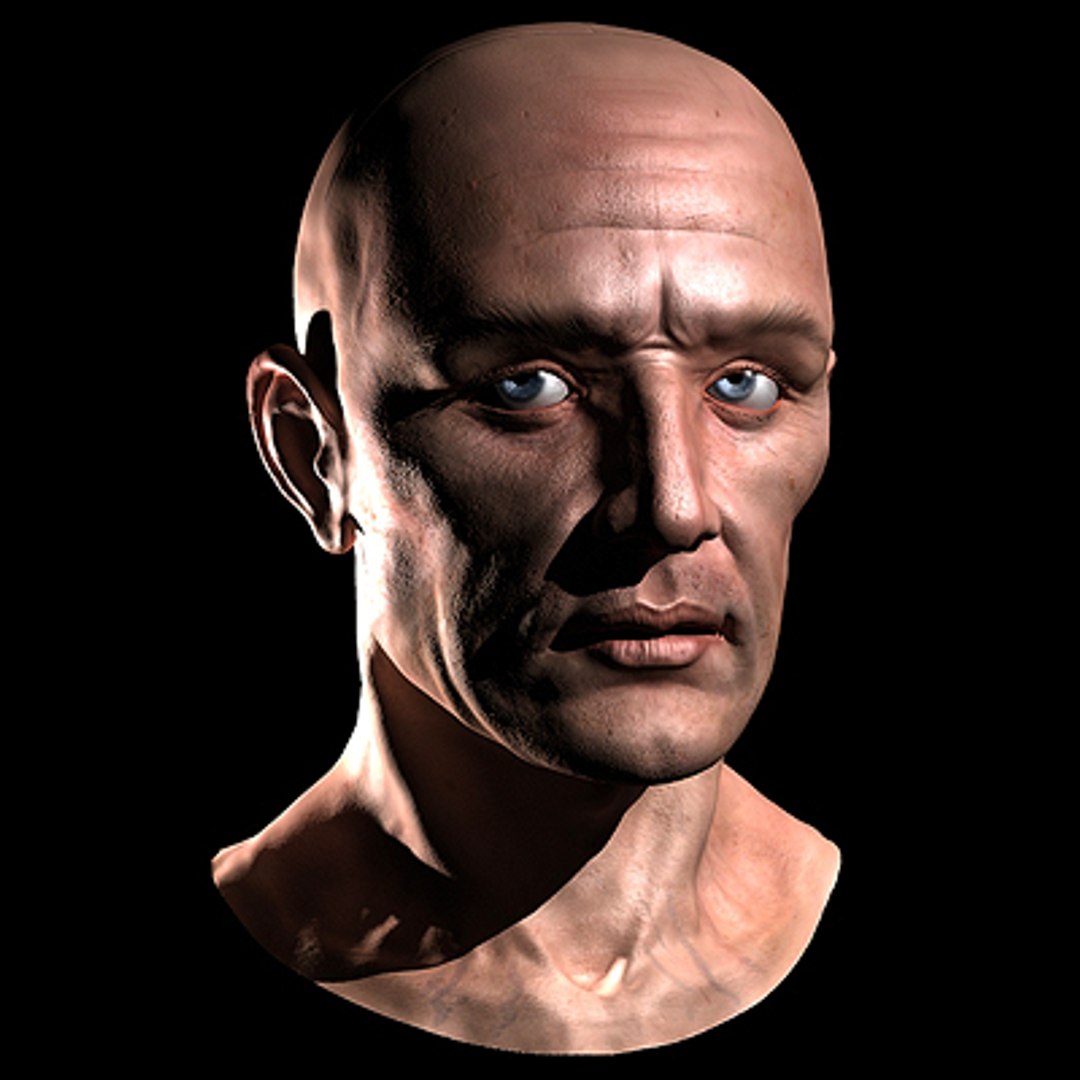 Realistic Head 3d Model