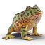 Pacman Frog Rigged for Cinema 4D