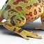 Pacman Frog Rigged for Cinema 4D