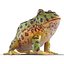Pacman Frog Rigged for Cinema 4D