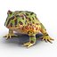Pacman Frog Rigged for Cinema 4D
