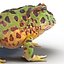 Pacman Frog Rigged for Cinema 4D