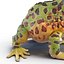 Pacman Frog Rigged for Cinema 4D