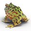 Pacman Frog Rigged for Cinema 4D