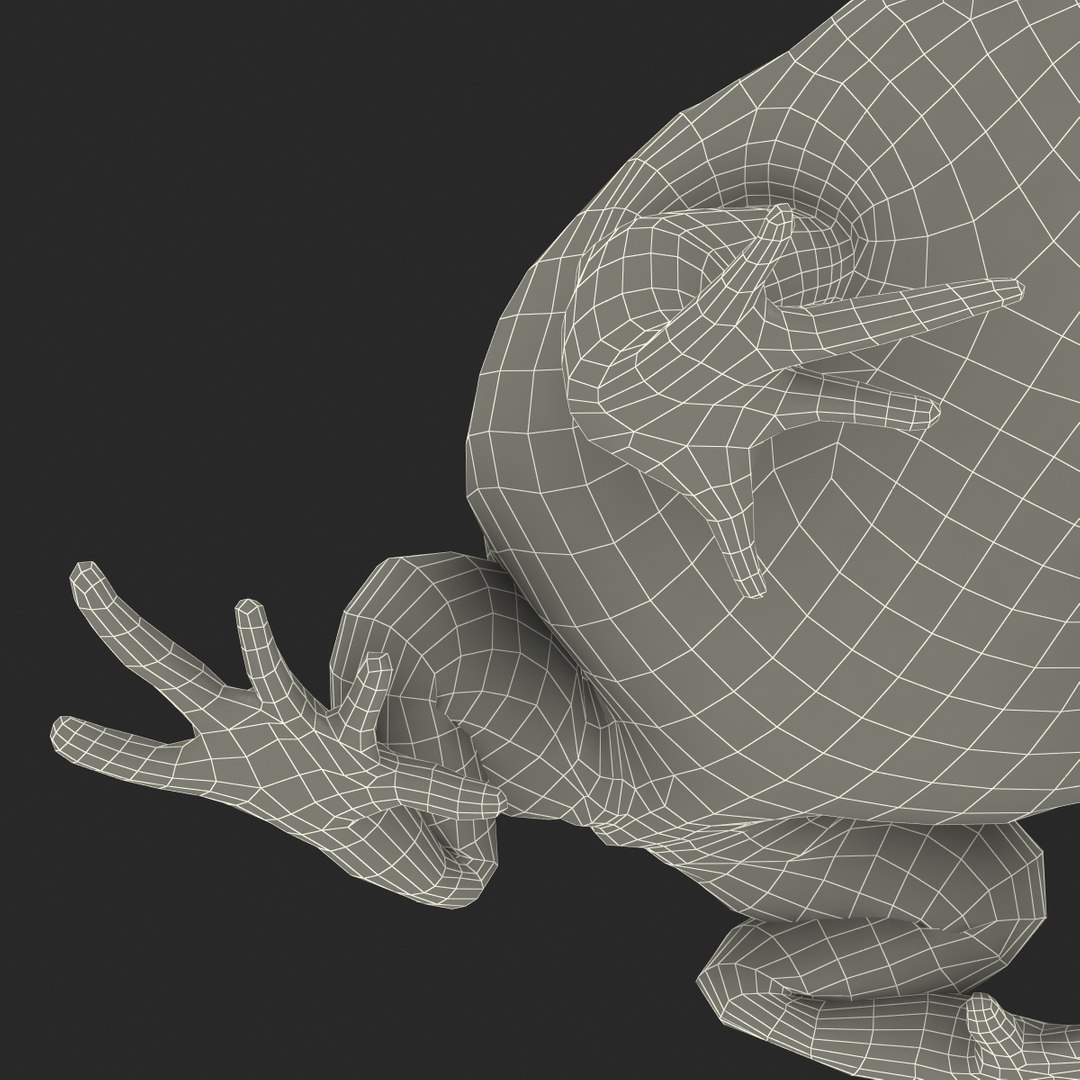 3d pacman frog rigged model https://p.turbosquid.com/ts-thumb/KW/MQxUl4/M7xSYBQG/pacmanfrogriggedcinema4d3dmodel48/jpg/1479916459/1920x1080/fit_q87/854048ae3cb58a728d394d6a593a6412588dc58e/pacmanfrogriggedcinema4d3dmodel48.jpg