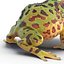 Pacman Frog Rigged for Cinema 4D