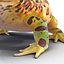 Pacman Frog Rigged for Cinema 4D