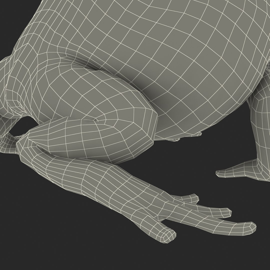 3d pacman frog rigged model https://p.turbosquid.com/ts-thumb/KW/MQxUl4/RggOi2RD/pacmanfrogriggedcinema4d3dmodel46/jpg/1479916459/1920x1080/fit_q87/33015509e6d3a8cb65cf1345ef4e60d1ba5a9f2d/pacmanfrogriggedcinema4d3dmodel46.jpg