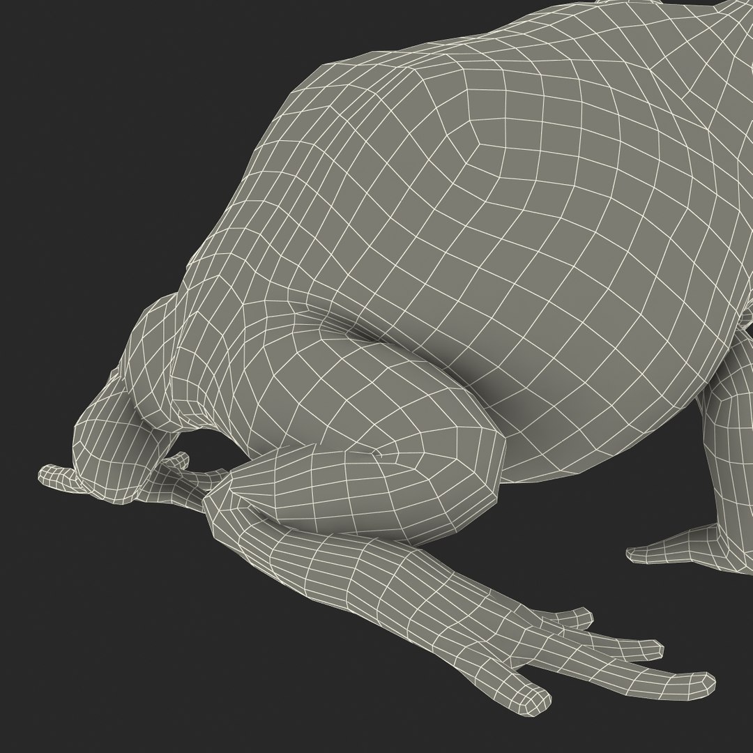3d pacman frog rigged model https://p.turbosquid.com/ts-thumb/KW/MQxUl4/Tz445JDS/pacmanfrogriggedcinema4d3dmodel44/jpg/1479916459/1920x1080/fit_q87/0eb9ea4ca4fac922223623a83f4baf62d391f7a5/pacmanfrogriggedcinema4d3dmodel44.jpg
