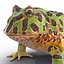 Pacman Frog Rigged for Cinema 4D