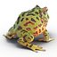 Pacman Frog Rigged for Cinema 4D
