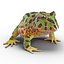 Pacman Frog Rigged for Cinema 4D