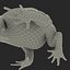 Pacman Frog Rigged for Cinema 4D