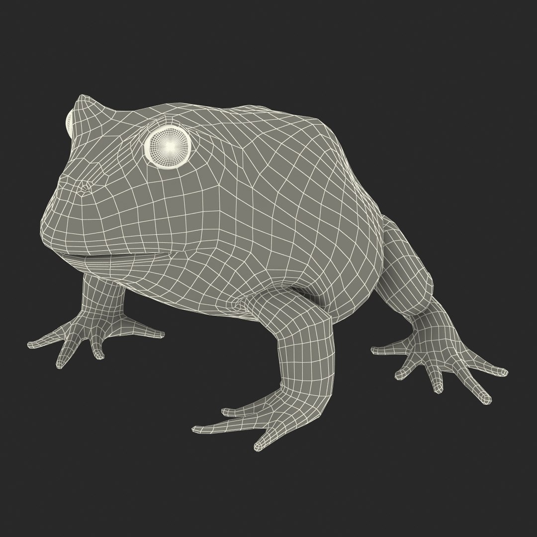 3d pacman frog rigged model https://p.turbosquid.com/ts-thumb/KW/MQxUl4/z95Az8oG/pacmanfrogriggedcinema4d3dmodel39/jpg/1479916459/1920x1080/fit_q87/54aa21f4e6edec64edf0957b3a9c75ddb525f017/pacmanfrogriggedcinema4d3dmodel39.jpg