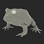 Pacman Frog Rigged for Cinema 4D