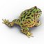 Pacman Frog Rigged for Cinema 4D