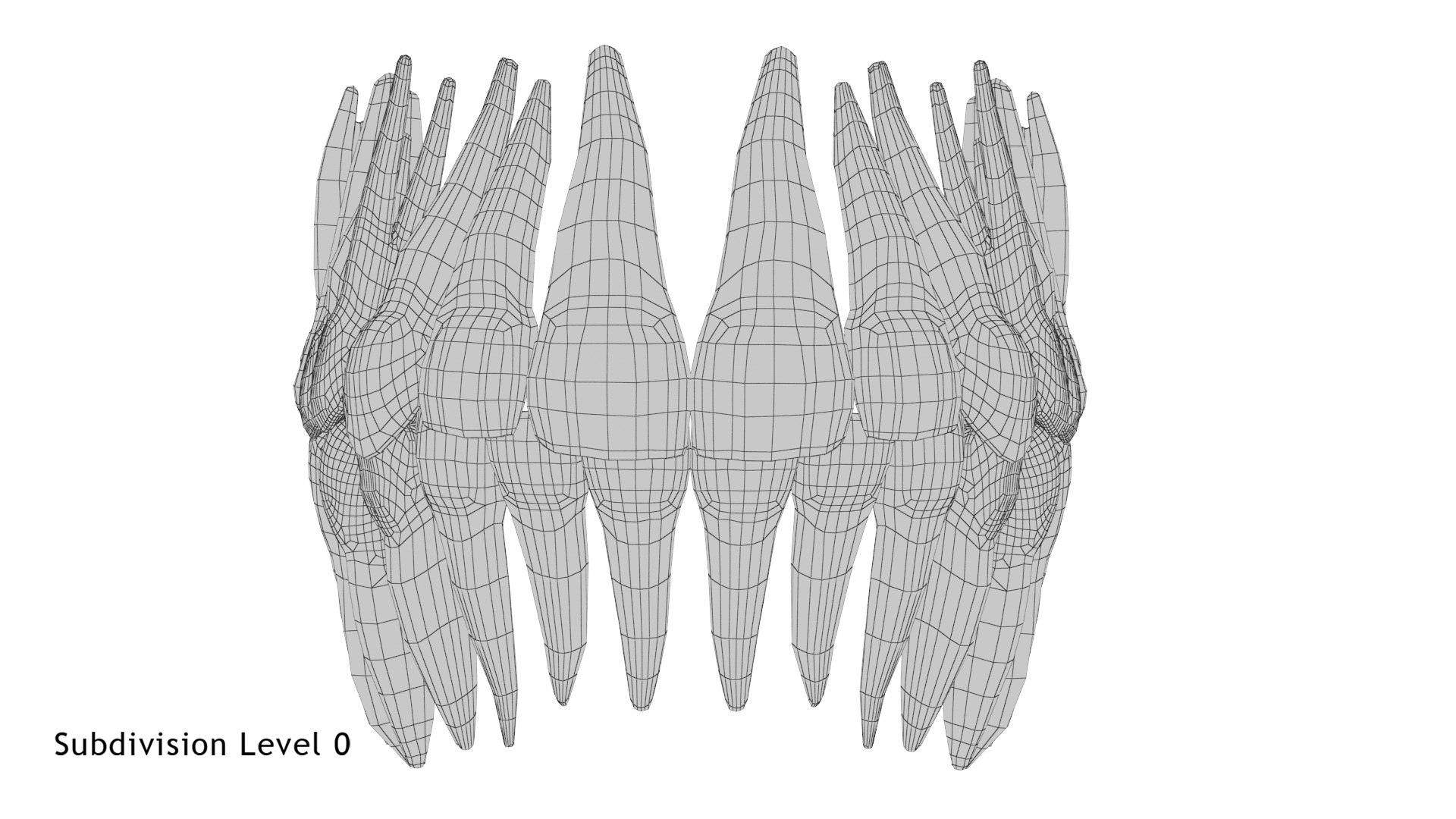3D model permanent teeth - TurboSquid 1609178