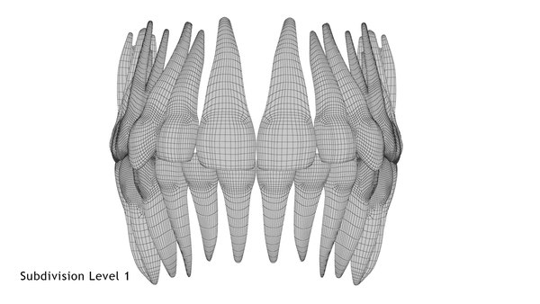 3D model permanent teeth - TurboSquid 1609178