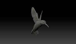 humming bird 3d model