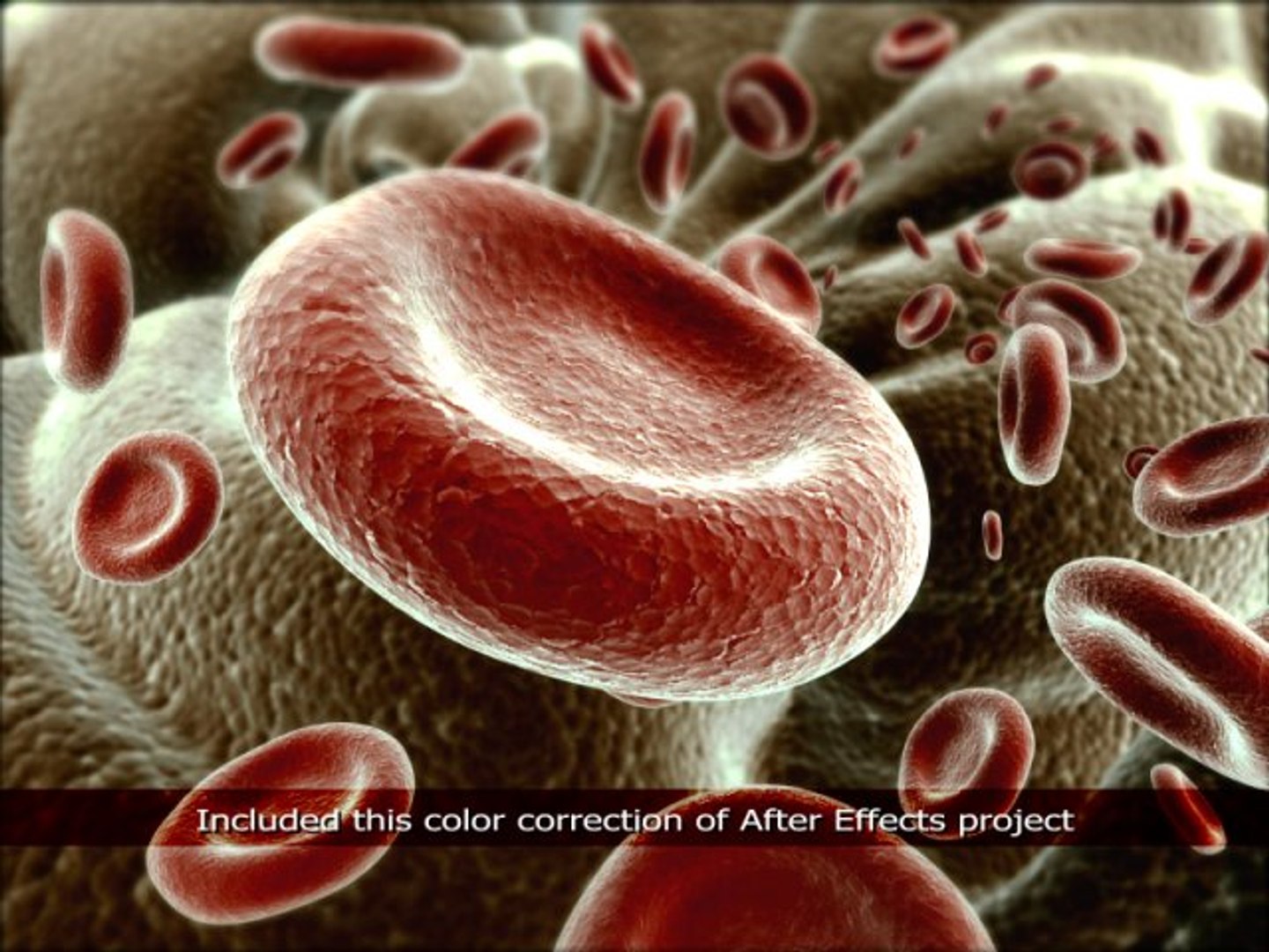 red blood cells animation 3d max
