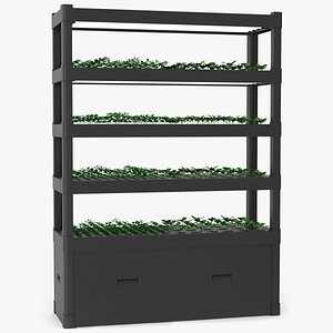 Multi-Level Hydroponic Plant Shelf with Sprouts