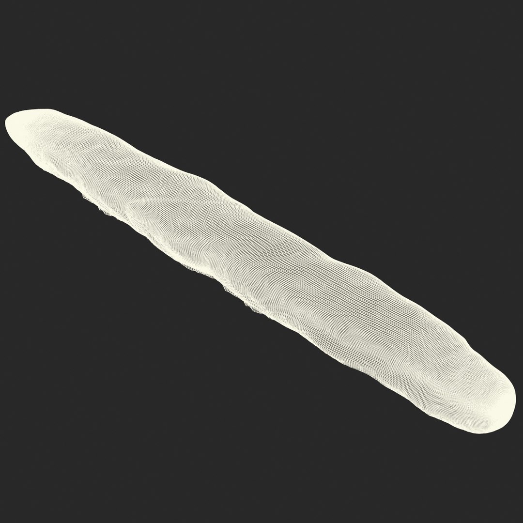 baguette 2 max https://p.turbosquid.com/ts-thumb/KW/uH44F6/0EoSw3oB/3dmodelofbaguette17/jpg/1442401228/1920x1080/fit_q87/838470808c98bb3d2b05cbee07f73ff8317f1d87/3dmodelofbaguette17.jpg