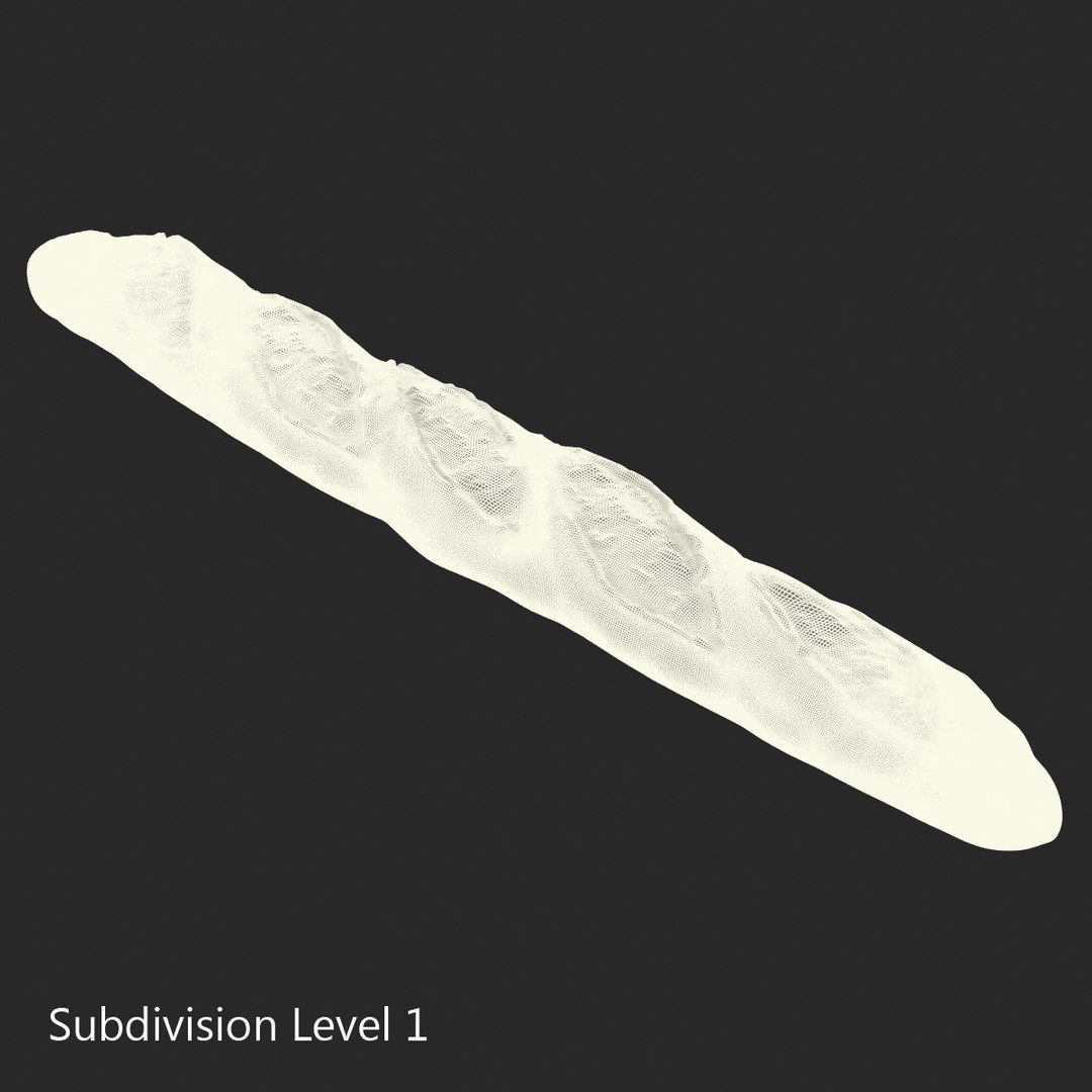 baguette 2 max https://p.turbosquid.com/ts-thumb/KW/uH44F6/9YR8OgSK/3dmodelofbaguette10/jpg/1442401227/1920x1080/fit_q87/3d13142fd96eb58122c91e26d1df15354702ed91/3dmodelofbaguette10.jpg