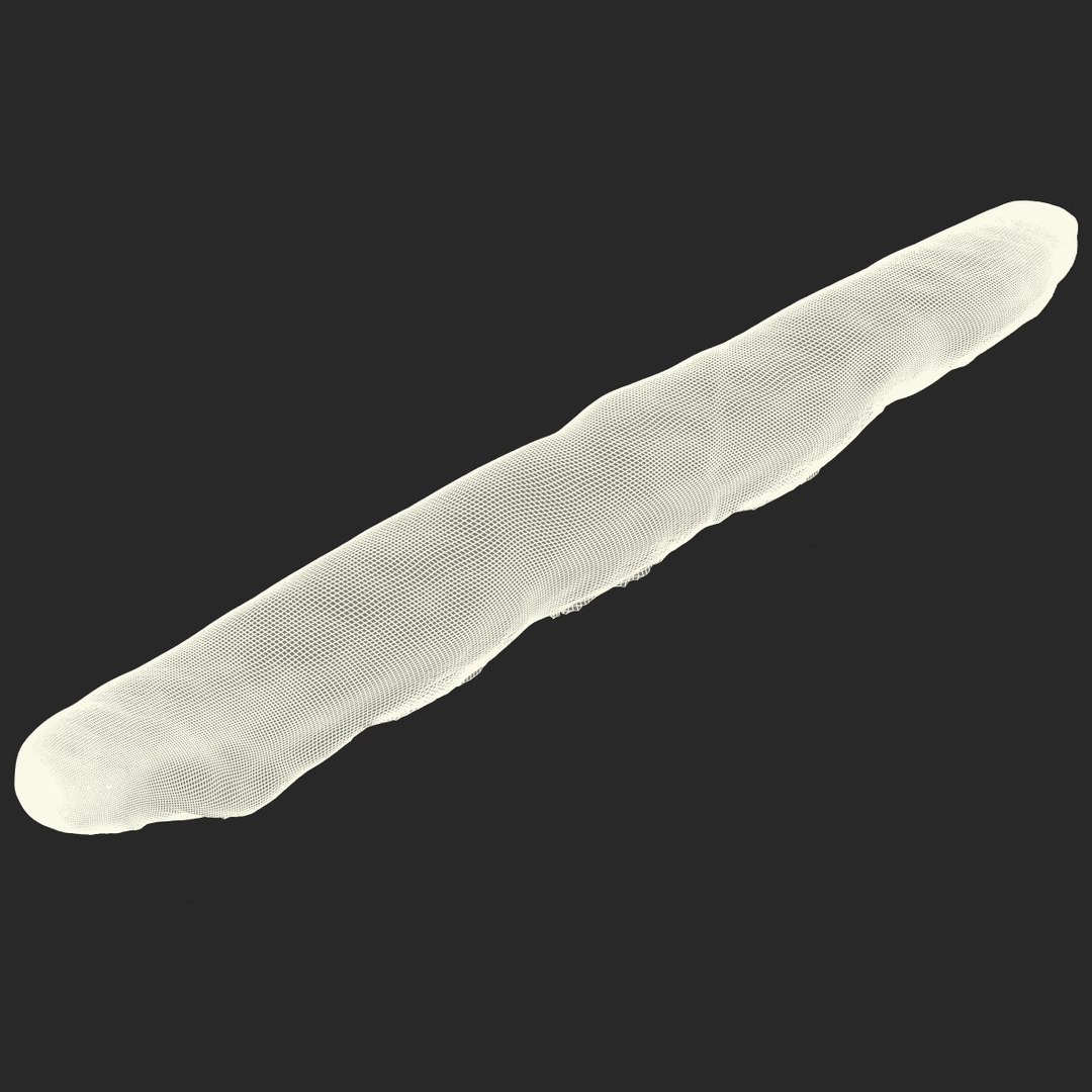 baguette 2 max https://p.turbosquid.com/ts-thumb/KW/uH44F6/Olaqkh1I/3dmodelofbaguette18/jpg/1442401228/1920x1080/fit_q87/7a983cb4eabd1baabcb62498a8be79764d866a5d/3dmodelofbaguette18.jpg