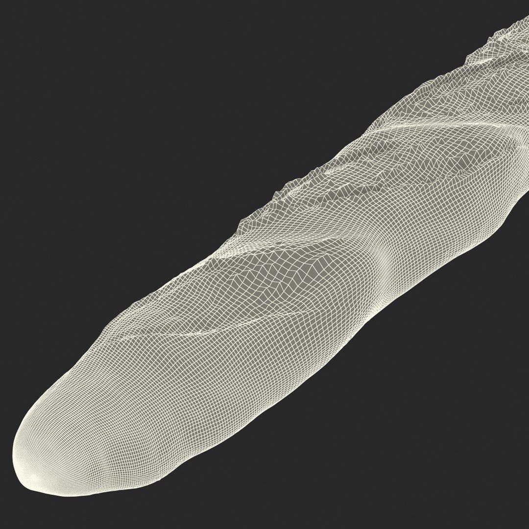 baguette 2 max https://p.turbosquid.com/ts-thumb/KW/uH44F6/U6ztlMtT/3dmodelofbaguette19/jpg/1442401228/1920x1080/fit_q87/eb85914b269b8663c5b124e766f3670afd735fa5/3dmodelofbaguette19.jpg
