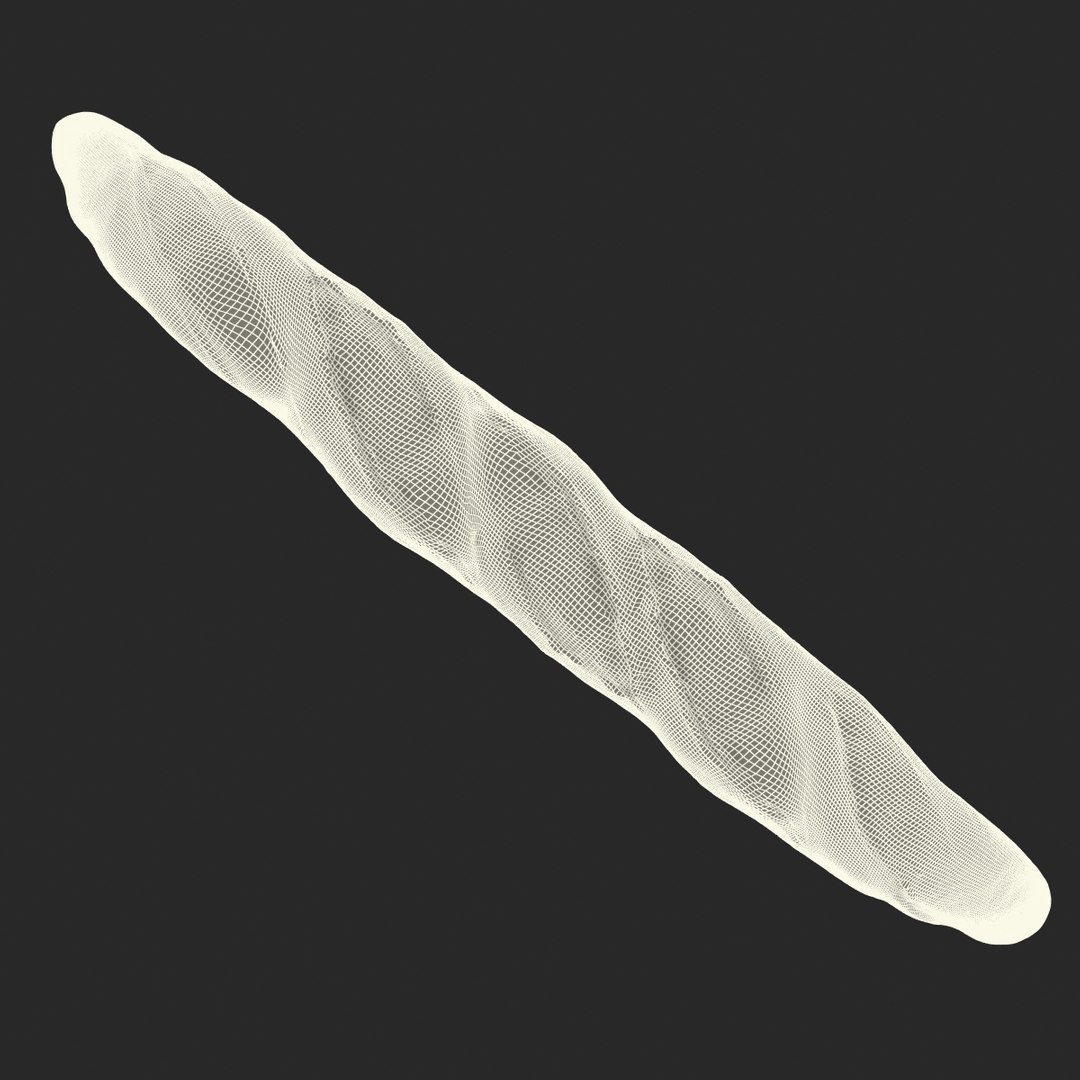 baguette 2 max https://p.turbosquid.com/ts-thumb/KW/uH44F6/bOa3kpVI/3dmodelofbaguette16/jpg/1442401227/1920x1080/fit_q87/1ad646628c2b0cbc24eaaa580ac8ab8fa85f5c53/3dmodelofbaguette16.jpg