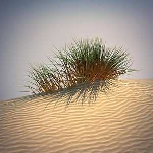 Desert Grass Set