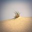 Desert Grass Set