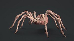 spider rigged 3D model