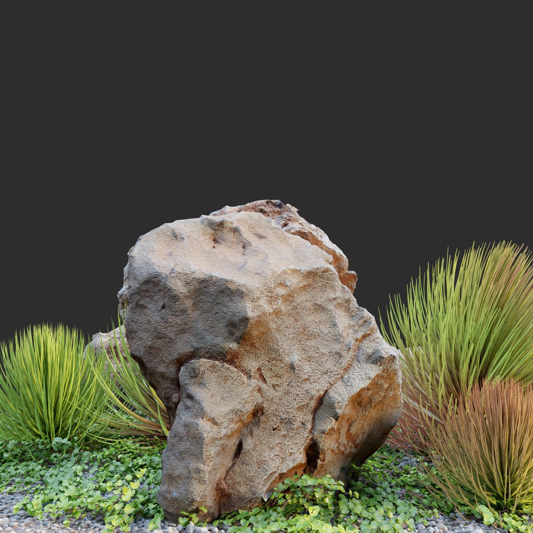 Rocks And Plants Model - TurboSquid 1958787