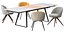 Rolf Benz 629 chair, 939 table