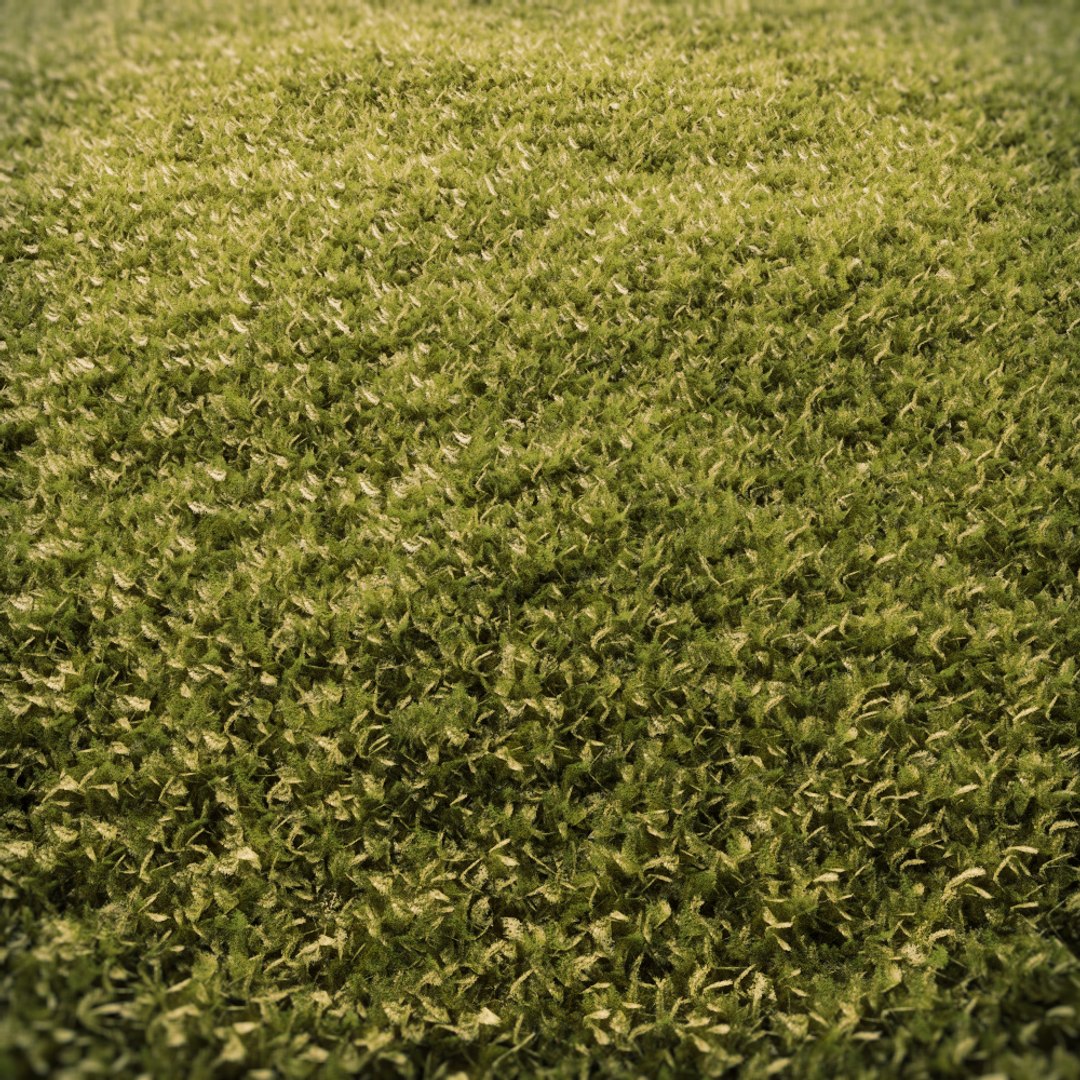 3D Model Moss 7 - TurboSquid 1535004
