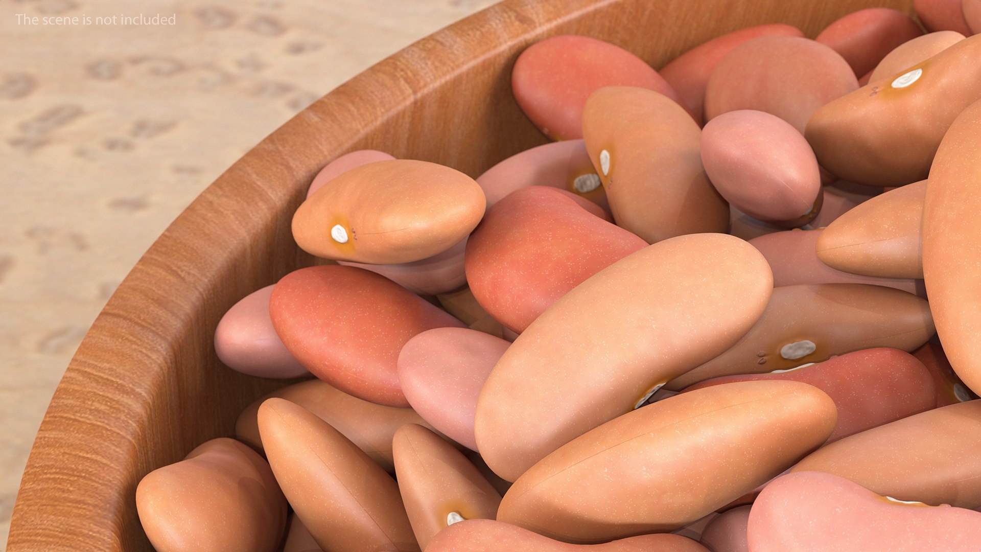 Beans and Seeds in a Bowl Collection 2 3D https://p.turbosquid.com/ts-thumb/KX/jP3oui/EB/beansandseedsinabowlcollection23dmodel005/jpg/1634503935/1920x1080/fit_q87/b899cd45b044500bd1a8d6154868b8af5c3c1eb8/beansandseedsinabowlcollection23dmodel005.jpg