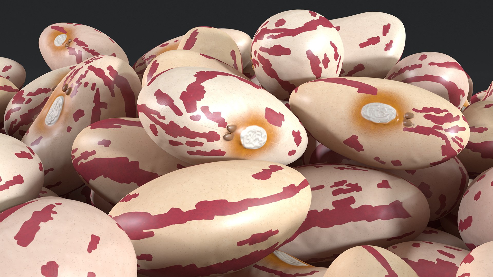 Beans and Seeds in a Bowl Collection 2 3D https://p.turbosquid.com/ts-thumb/KX/jP3oui/Gf/beansandseedsinabowlcollection23dmodel030/jpg/1634503994/1920x1080/fit_q87/1bf4741de2e998d348d315a21f4dba56650f6eb1/beansandseedsinabowlcollection23dmodel030.jpg